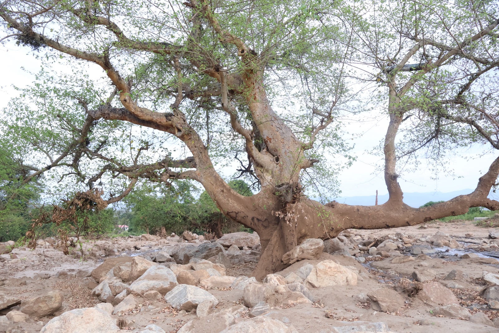 Kenya's North Rift landscape