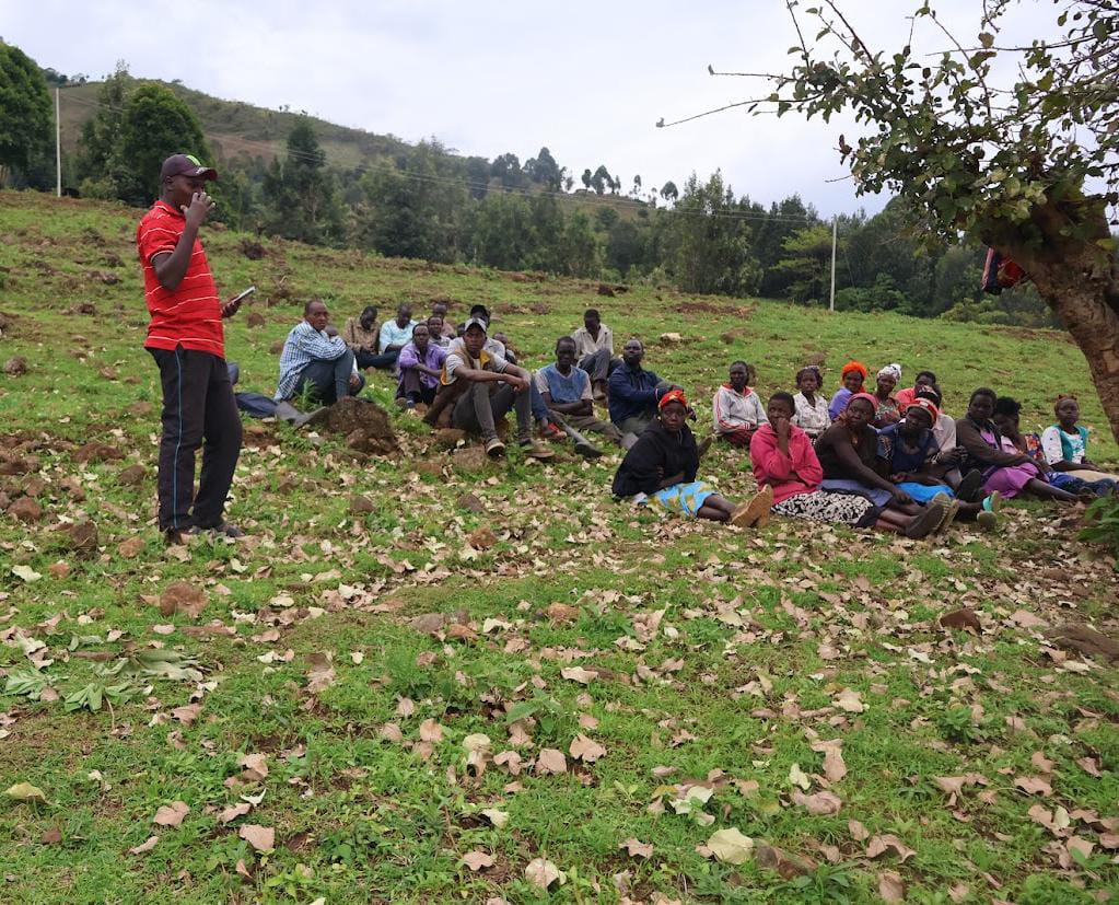 Community adaptation